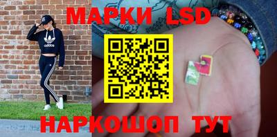 стаф Донской
