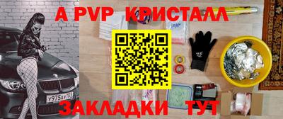 стаф Донской