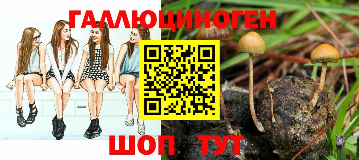Псилоцибиновые грибы Magic Shrooms Можайск